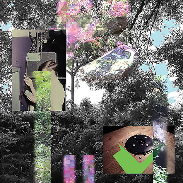 Explore nature through art at Descanso Gardens