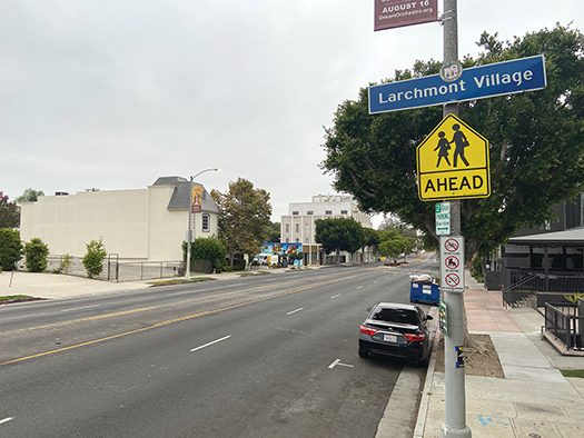 Candidates share views in L.A. CD 13 Council race